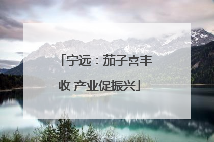 宁远：茄子喜丰收 产业促振兴