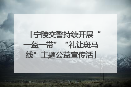 宁陵交警持续开展“一盔一带”“礼让斑马线”主题公益宣传活