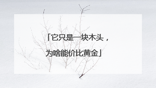 它只是一块木头，为啥能价比黄金