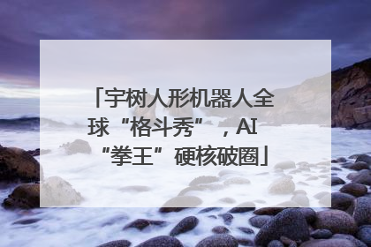 宇树人形机器人全球“格斗秀”，AI“拳王”硬核破圈