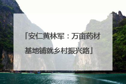 安仁黄林军：万亩药材基地铺就乡村振兴路