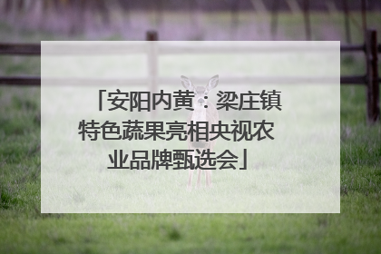 安阳内黄：梁庄镇特色蔬果亮相央视农业品牌甄选会