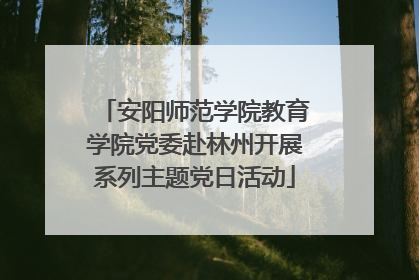 安阳师范学院教育学院党委赴林州开展系列主题党日活动