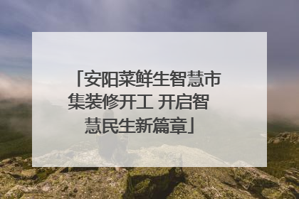 安阳菜鲜生智慧市集装修开工 开启智慧民生新篇章