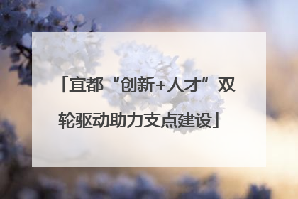 宜都“创新+人才”双轮驱动助力支点建设