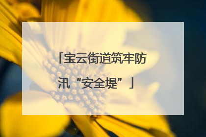 宝云街道筑牢防汛“安全堤”