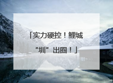 实力硬控！鲤城“圳”出圈！