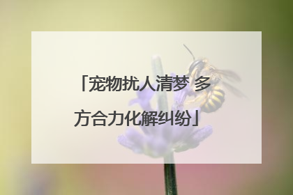 宠物扰人清梦 多方合力化解纠纷