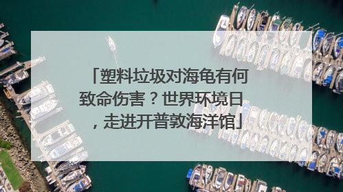 塑料垃圾对海龟有何致命伤害？世界环境日，走进开普敦海洋馆