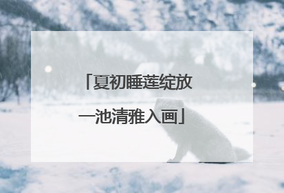 夏初睡莲绽放 一池清雅入画