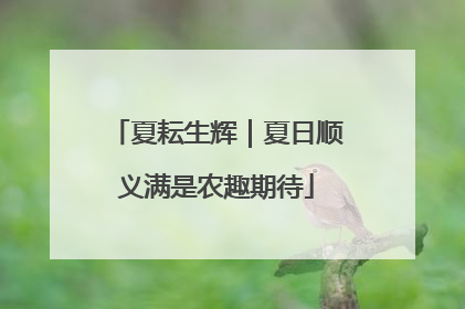夏耘生辉｜夏日顺义满是农趣期待