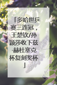 多哈世乒赛三连冠，王楚钦/孙颖莎收下兹·赫杜塞克杯复刻奖杯