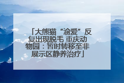 大熊猫“渝爱”反复出现脱毛 重庆动物园：暂时转移至非展示区静养治疗
