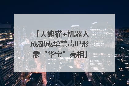 大熊猫+机器人 成都成华禁毒IP形象“华宝”亮相