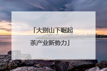 大别山下崛起茶产业新势力