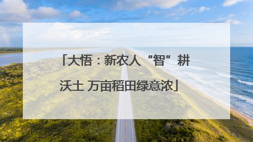 大悟：新农人“智”耕沃土 万亩稻田绿意浓