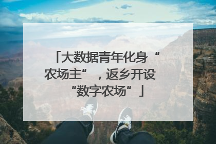 大数据青年化身“农场主”，返乡开设“数字农场”