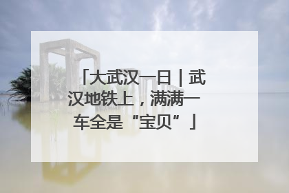 大武汉一日｜武汉地铁上，满满一车全是“宝贝”