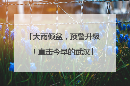 大雨倾盆，预警升级！直击今早的武汉