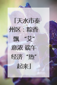 天水市秦州区：粽香飘 “艾”意浓 端午经济“热”起来