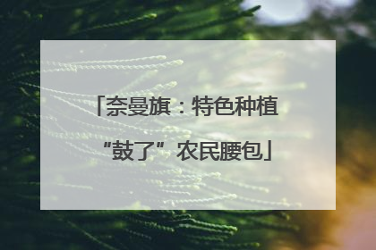 奈曼旗：特色种植“鼓了”农民腰包
