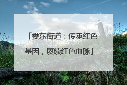 娄东街道：传承红色基因，赓续红色血脉