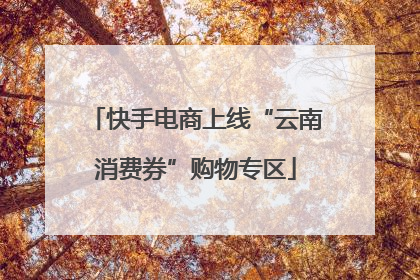 快手电商上线“云南消费券”购物专区