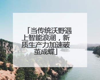 当传统沃野遇上智能浪潮，新质生产力加速破茧成蝶