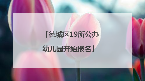 德城区19所公办幼儿园开始报名