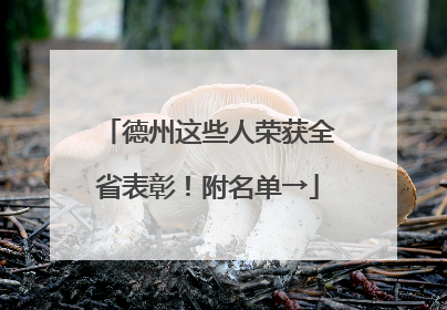 德州这些人荣获全省表彰！附名单→