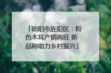 德阳市旌阳区：粉色木耳产销两旺 新品种助力乡村振兴
