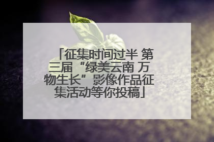 征集时间过半 第三届“绿美云南 万物生长”影像作品征集活动等你投稿