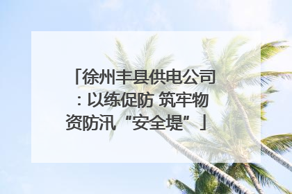 徐州丰县供电公司：以练促防 筑牢物资防汛“安全堤”