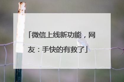 微信上线新功能，网友：手快的有救了