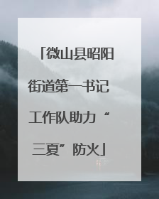 微山县昭阳街道第一书记工作队助力“三夏”防火