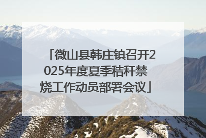 微山县韩庄镇召开2025年度夏季秸秆禁烧工作动员部署会议