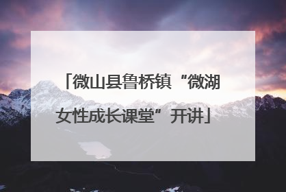 微山县鲁桥镇“微湖女性成长课堂”开讲
