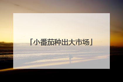 小番茄种出大市场