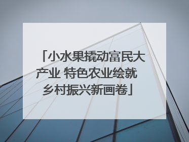 小水果撬动富民大产业 特色农业绘就乡村振兴新画卷