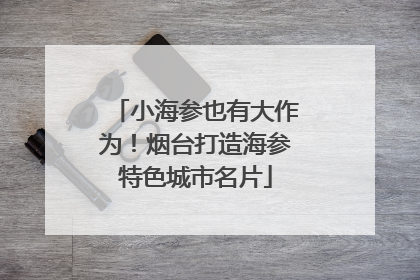 小海参也有大作为！烟台打造海参特色城市名片