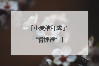 小麦秸秆成了“香饽饽”