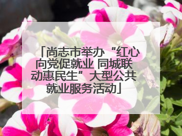 尚志市举办“红心向党促就业 同城联动惠民生”大型公共就业服务活动