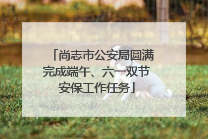 尚志市公安局圆满完成端午、六一双节安保工作任务