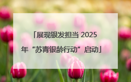 展现银发担当 2025年“苏青银龄行动”启动