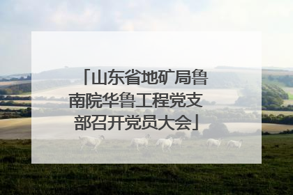 山东省地矿局鲁南院华鲁工程党支部召开党员大会