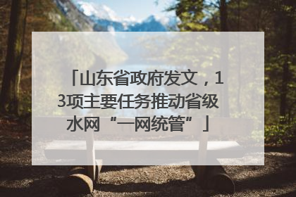 山东省政府发文，13项主要任务推动省级水网“一网统管”