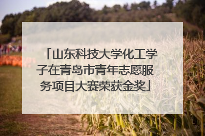 山东科技大学化工学子在青岛市青年志愿服务项目大赛荣获金奖