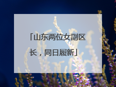 山东两位女副区长，同日履新