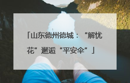山东德州德城：“解忧花”邂逅“平安伞”