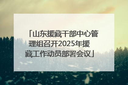 山东援藏干部中心管理组召开2025年援藏工作动员部署会议